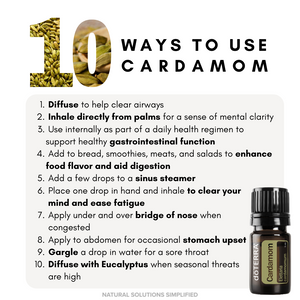 dōTERRA Black Spruce Essential Oil - 5ml